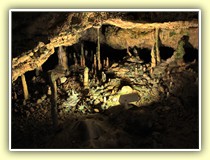 Bärenhöhle