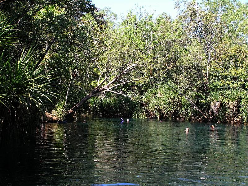 wasserloch_in_der_naehe_darwin.jpg - Ein Wasserloch in der Nähe von Darwin, das zum schwimmen einlädt.