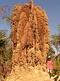 termiten_huegel_litchfield_nt.