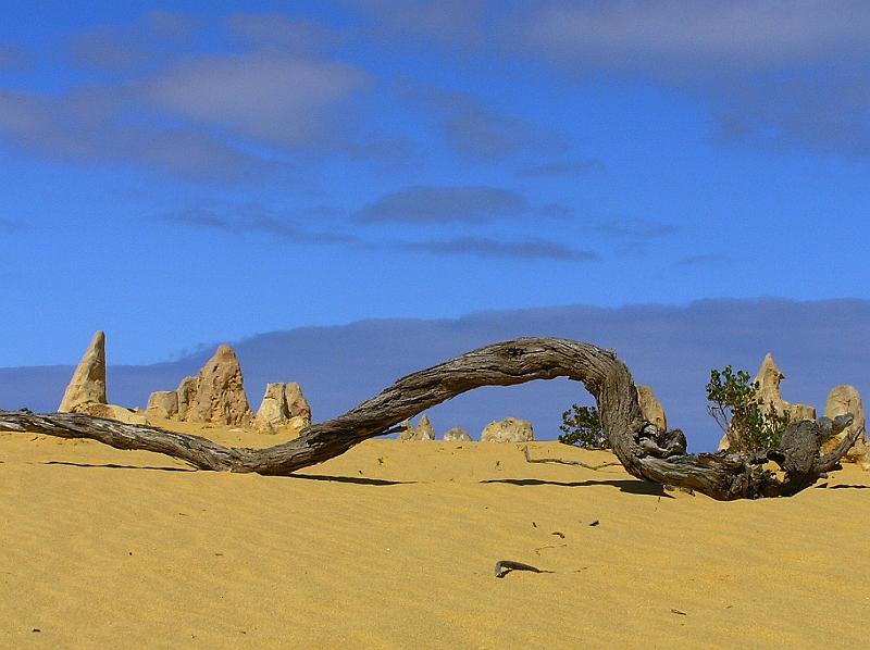 2.jpg - Die Pinnacles Desert im Nambung National Park, in der Naehe der Stadt Cervantes.