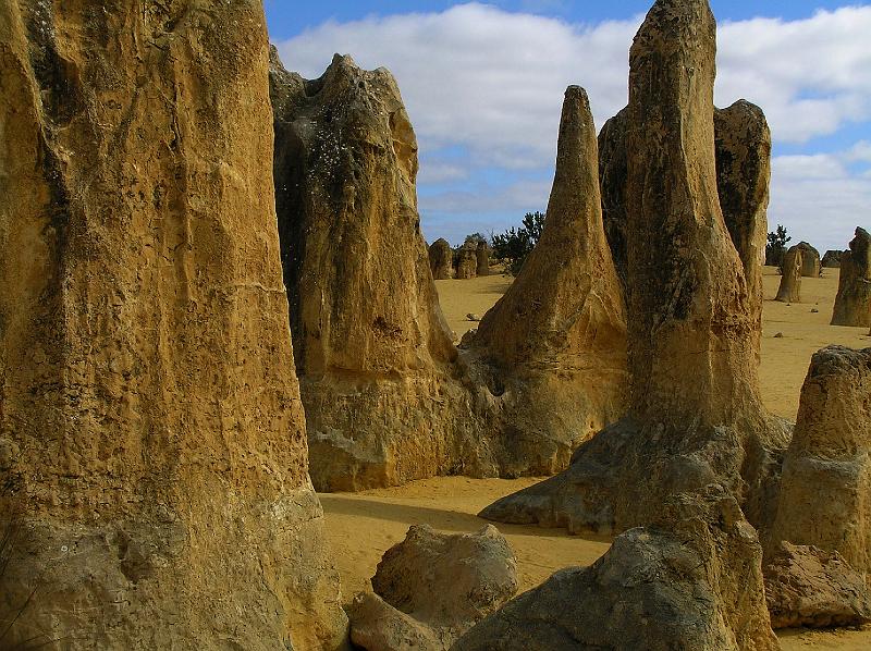 Cervantes_Pinnacles_Dessert.jpg - Die Pinnacles sind vor rund 150 000-80 000 Jahren entstanden. Es führt ein 5 km langer Rundweg durch diese eindrucksvolle Wüstenlandschaft.