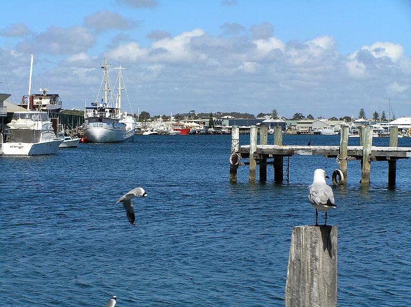 Perth_Fremantle_Hafen.jpg - Hafen von Fremantle.