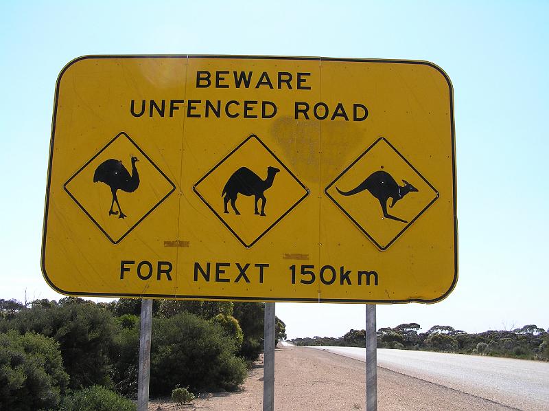 beware.jpg - Eine grosse Gefahr auf den Highways sind Emus, Kamele und Kaengurus, deshalb gibt es reichliche Hinweisschilder.