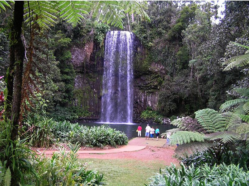 Atherton_Tableland_Qld._Millaa-Millaa_Falls.jpg - Atherton Tableland Queensland. Die Millaa Millaa Falls  gehören zu den schönsten in Australien und vor allem zu den am häufigsten fotografierten Wasserfällen.