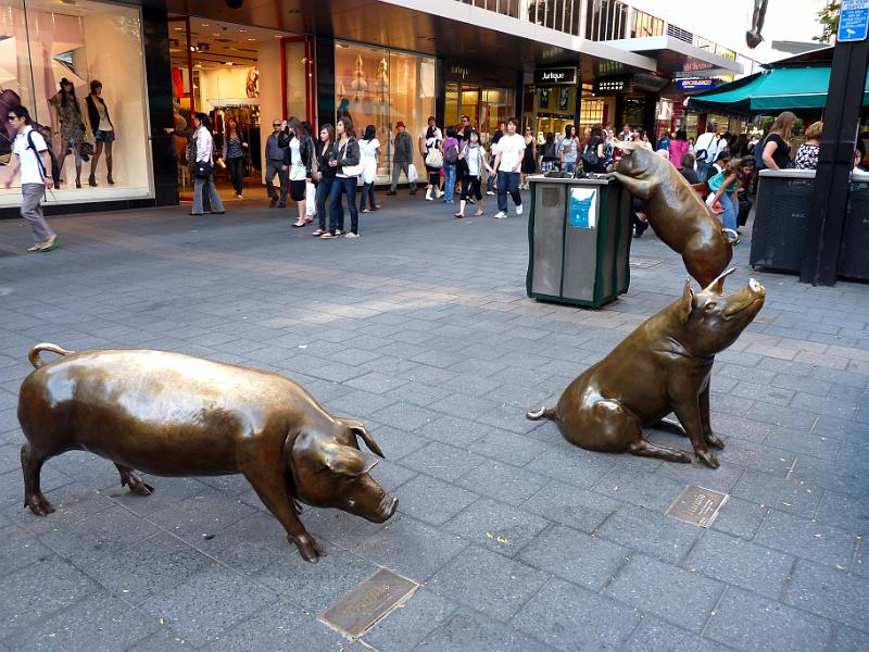 adelaide60.jpg - Das 1. Schwein heisst Tuffles. Das 2. heisst Horatio. Das 3. Schwein an der Abfalltonne muss ich erst noch fragen.