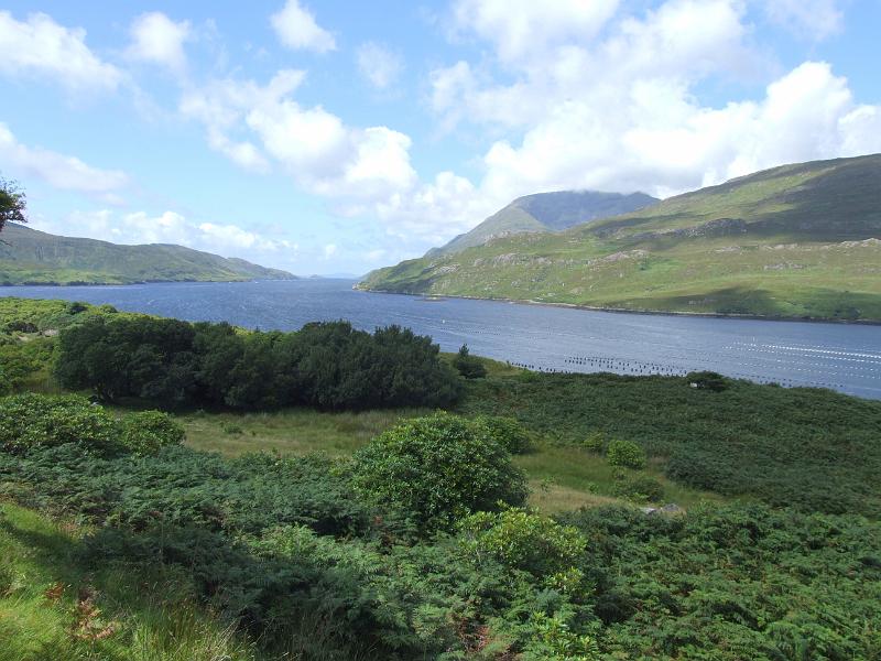 irland184.jpg - Auf dem Weg nach Galway. Der Shannon ist mit circa 370 km der längste Fluss Irlands