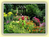 Gemischtes Blumenbeet mit Tagetes, Dahlien, Husarenköpfchen usw.